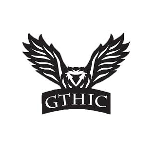 12% Off Sitewide at GTHIC