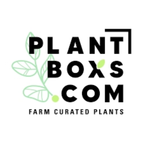 Enjoy $5 OFF your first plant box