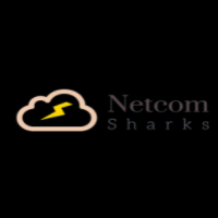 Managed Hosting Plan For £9.99/Monthly at Netcom Sharks