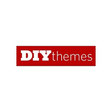 DIYthemes Coupons