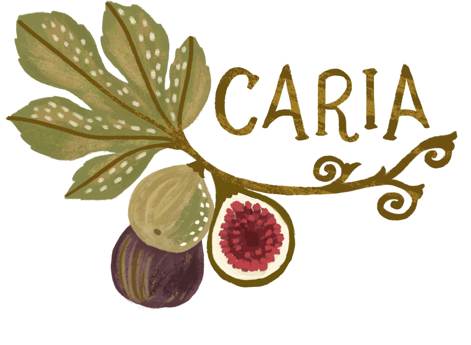 Fig of Caria Coupons