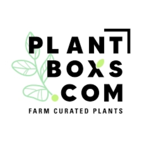 Plantboxs Coupons