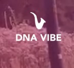 DNA Vibe Coupons