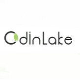 Odinlake Coupons