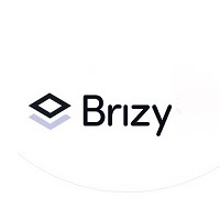 Brizy Coupons