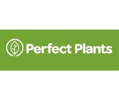 Perfect Plants Coupons