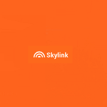 Skylink Coupons