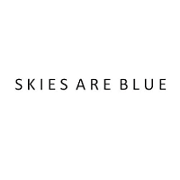 Skies Are Blue Coupon Code